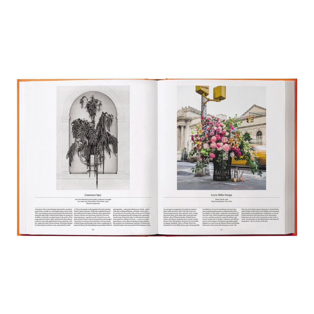 Flower: Exploring the World in Bloom