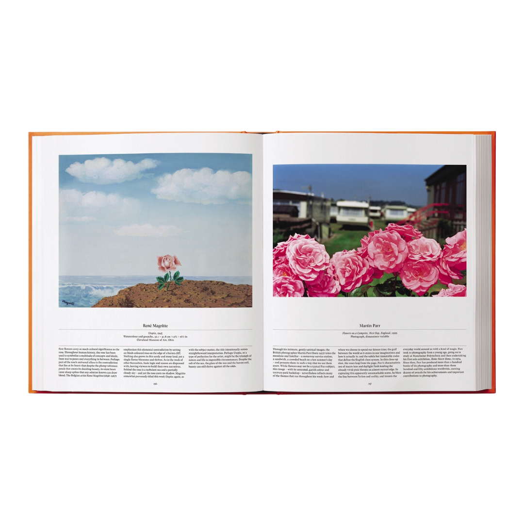 Flower: Exploring the World in Bloom