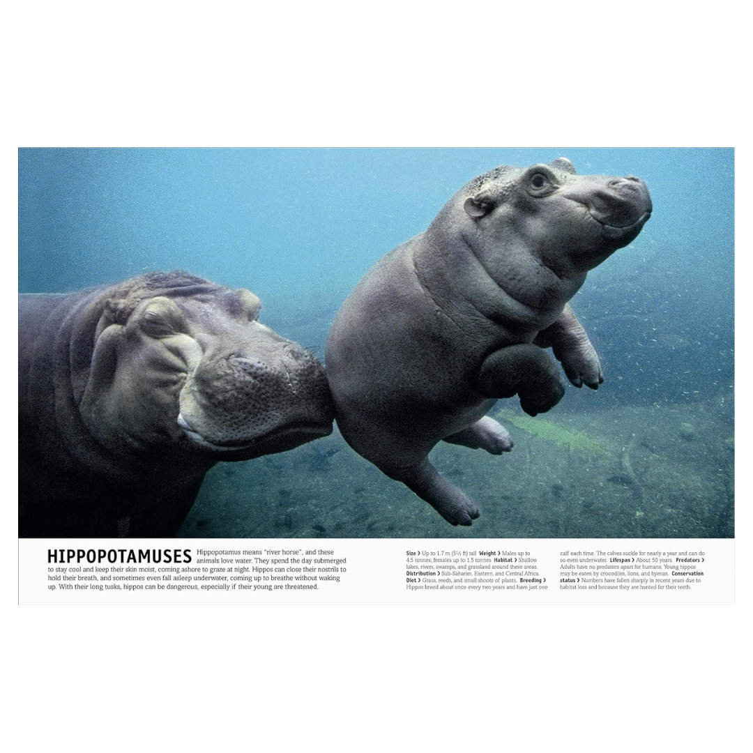 The Animal Book: A Visual Encyclopedia of Life on Earth