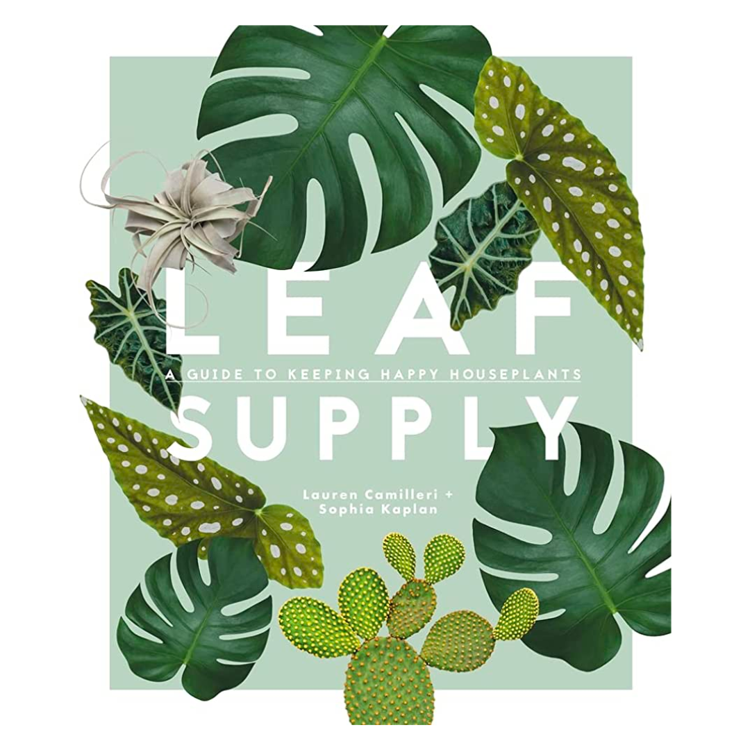 Leaf Supply
