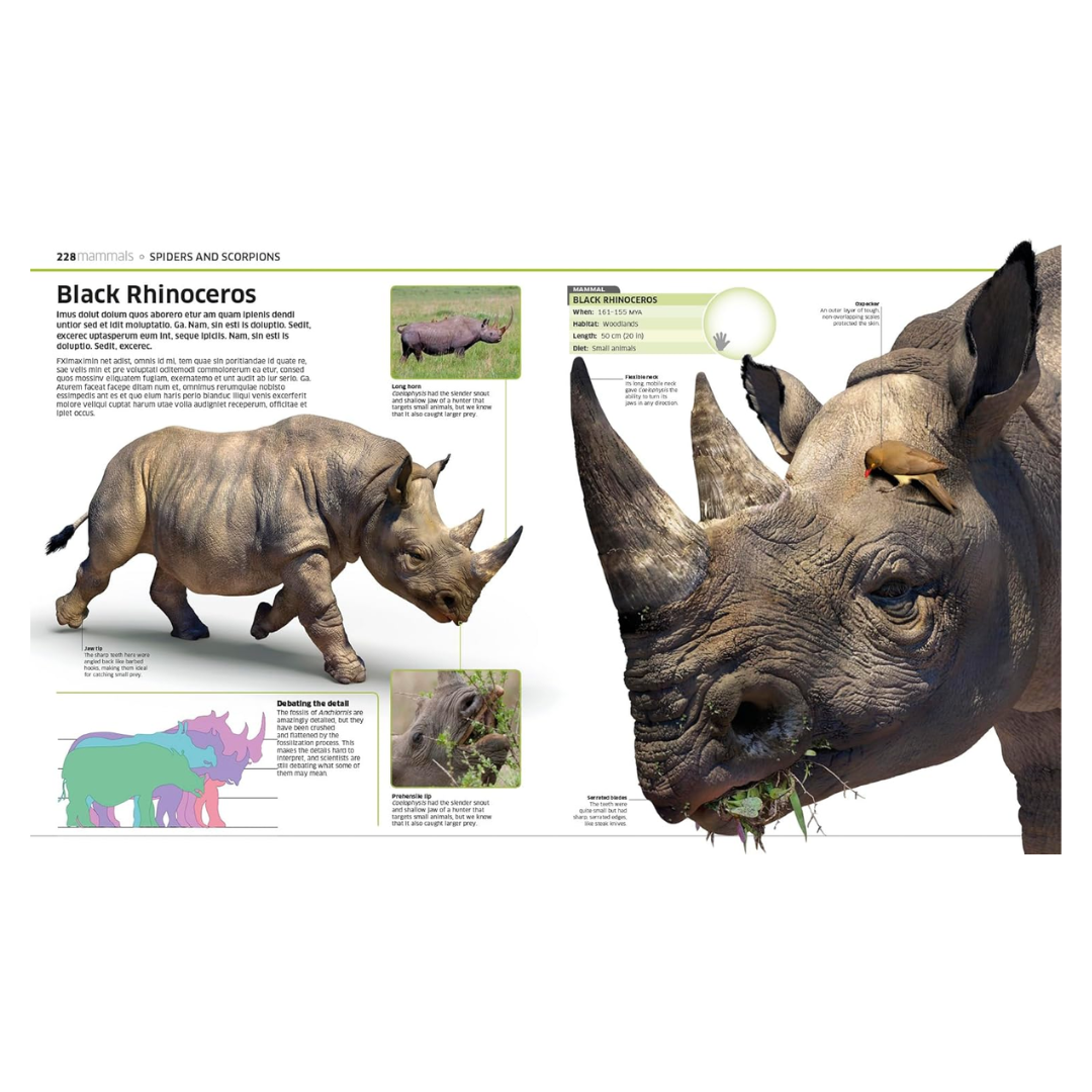 Knowledge Encyclopedia Animal!