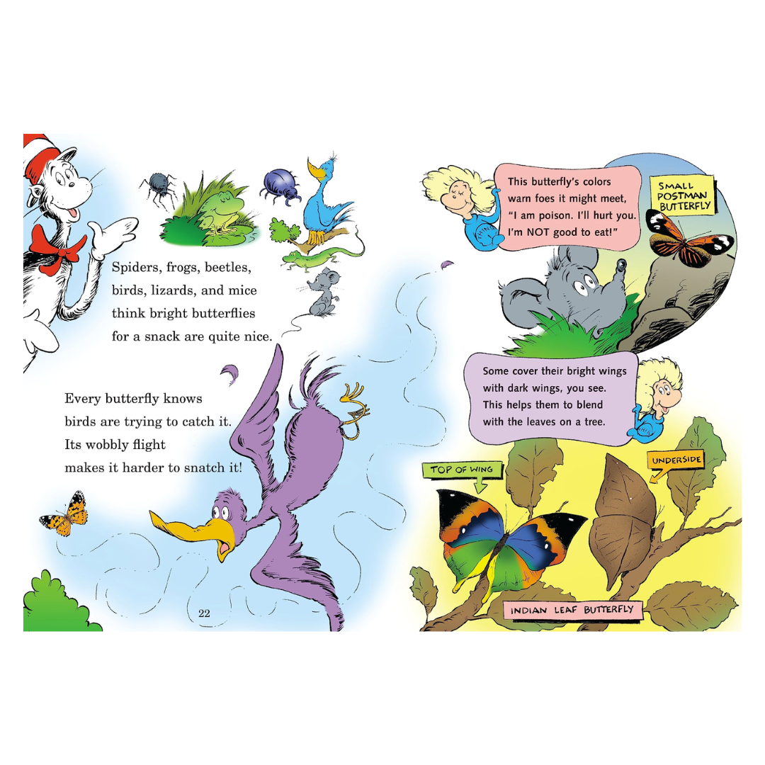 My, Oh My- A Butterfly!: All About Butterflies