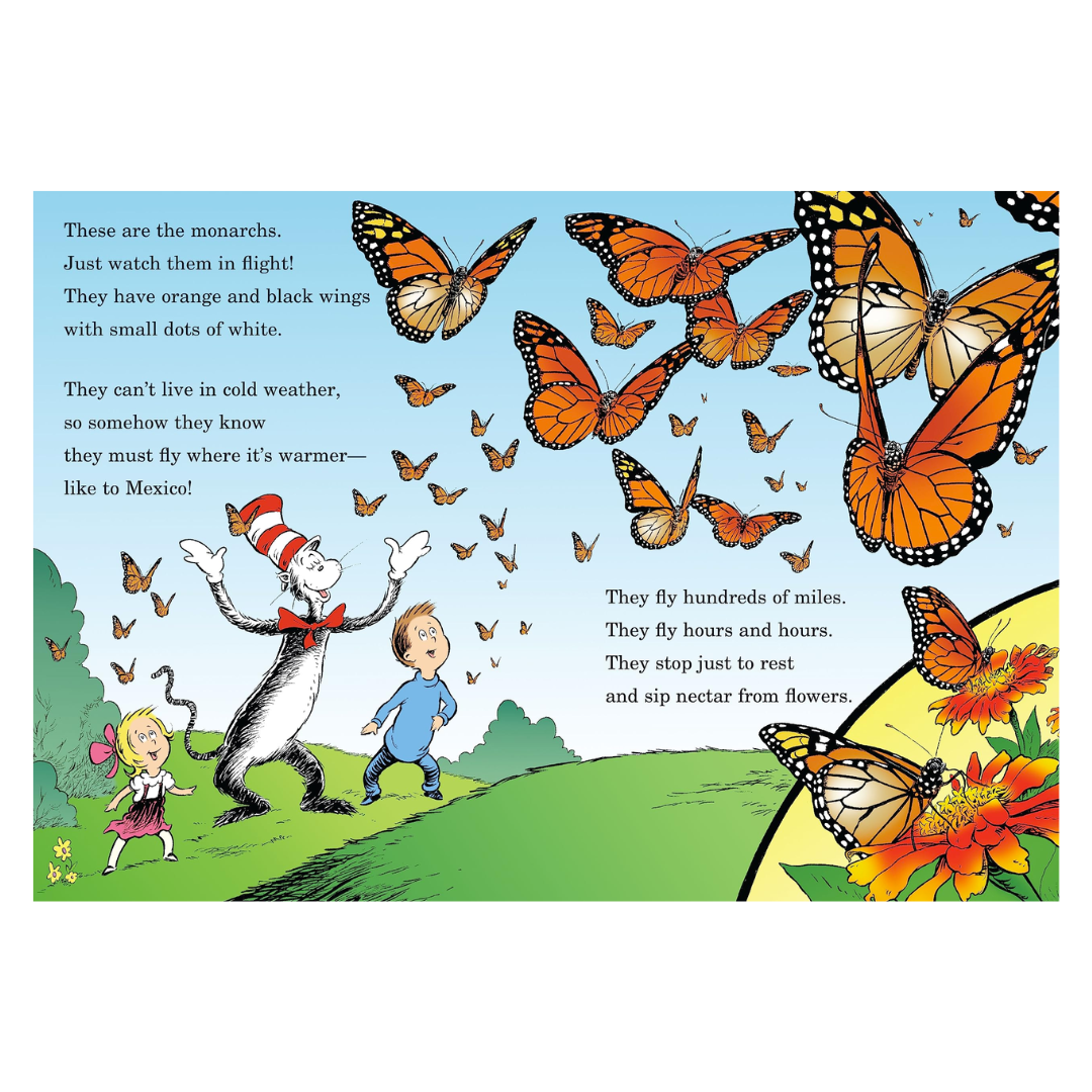 My, Oh My- A Butterfly!: All About Butterflies