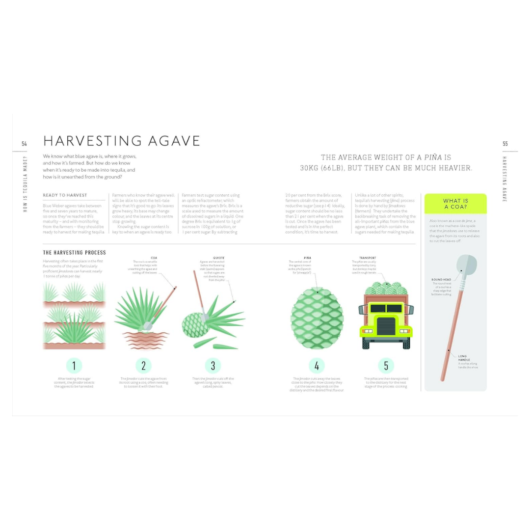 Tequila: A Tasting Course