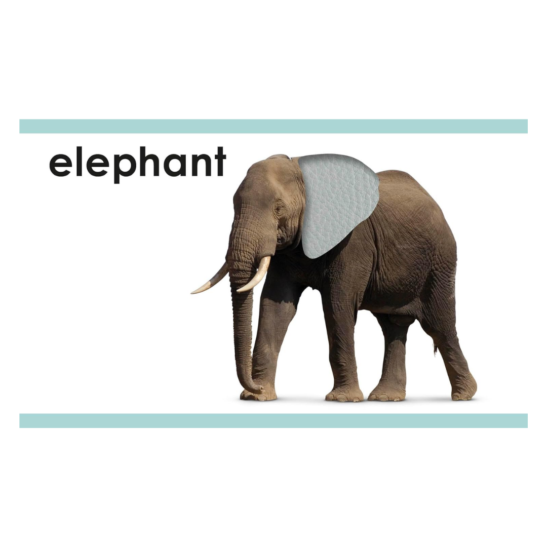 My First Touch and Feel Picture Cards: Animals