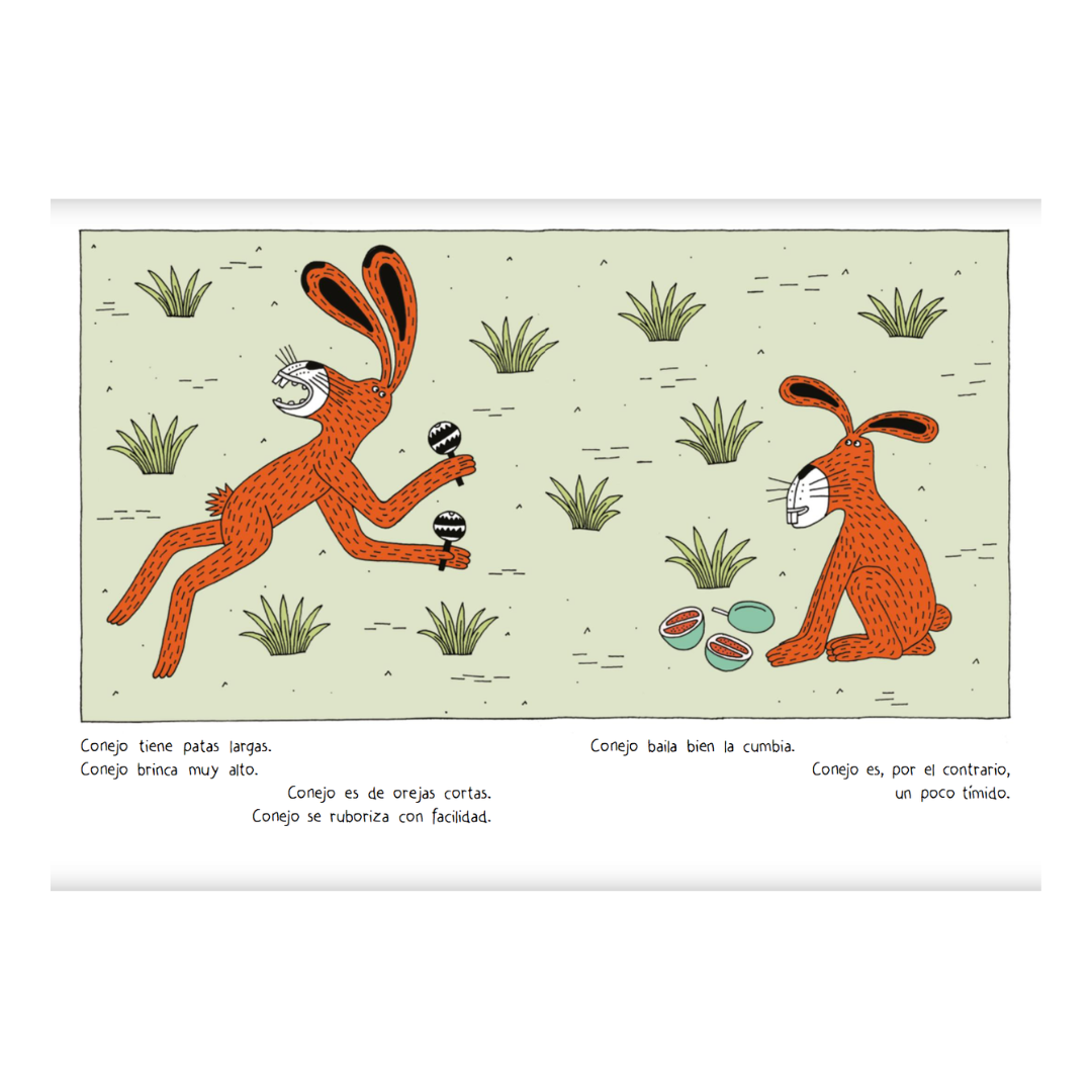 Conejo y conejo