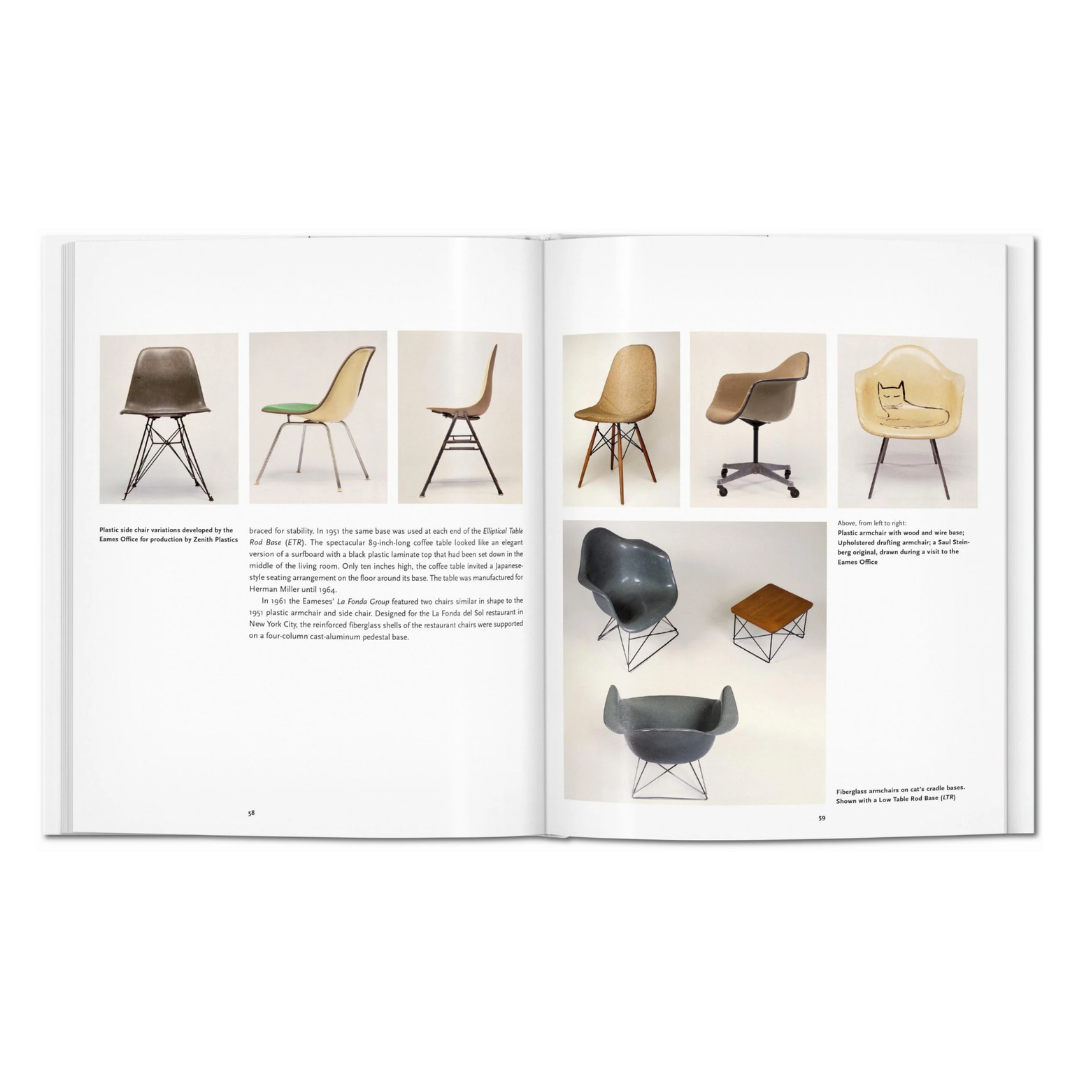 Eames (Basic Art Series)