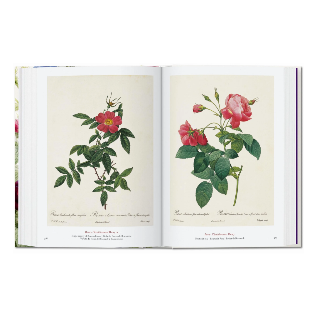 Redouté. The Book of Flowers. 45th Ed.