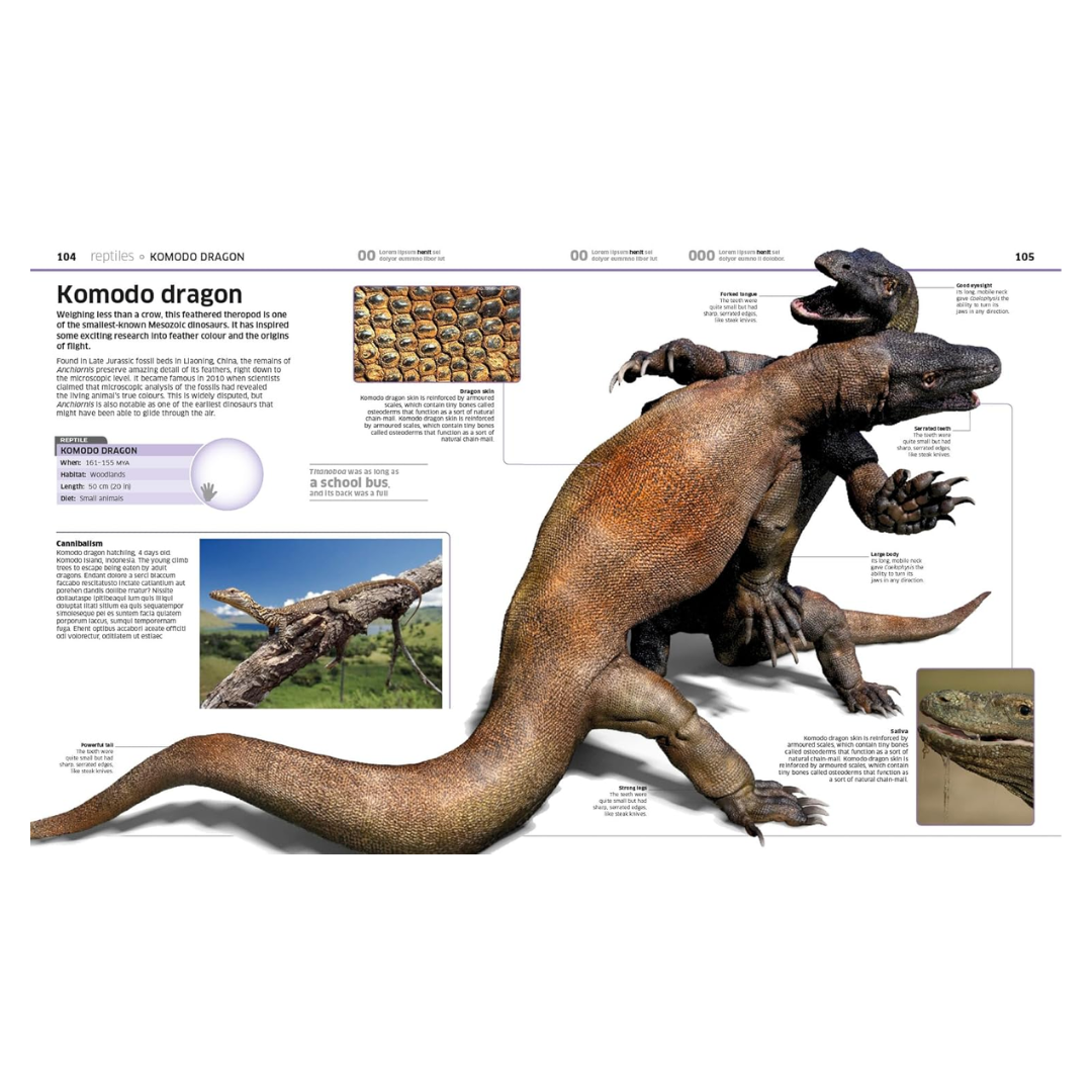 Knowledge Encyclopedia Animal!