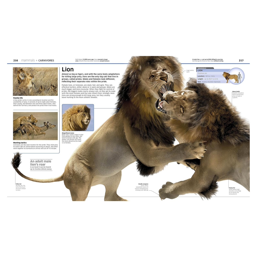 Knowledge Encyclopedia Animal!