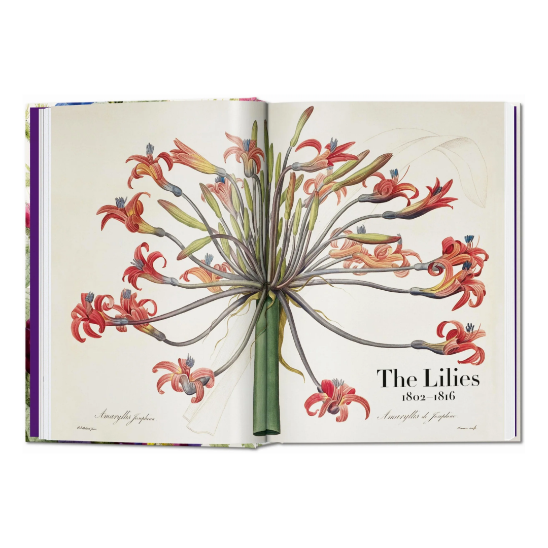 Redouté. The Book of Flowers. 45th Ed.
